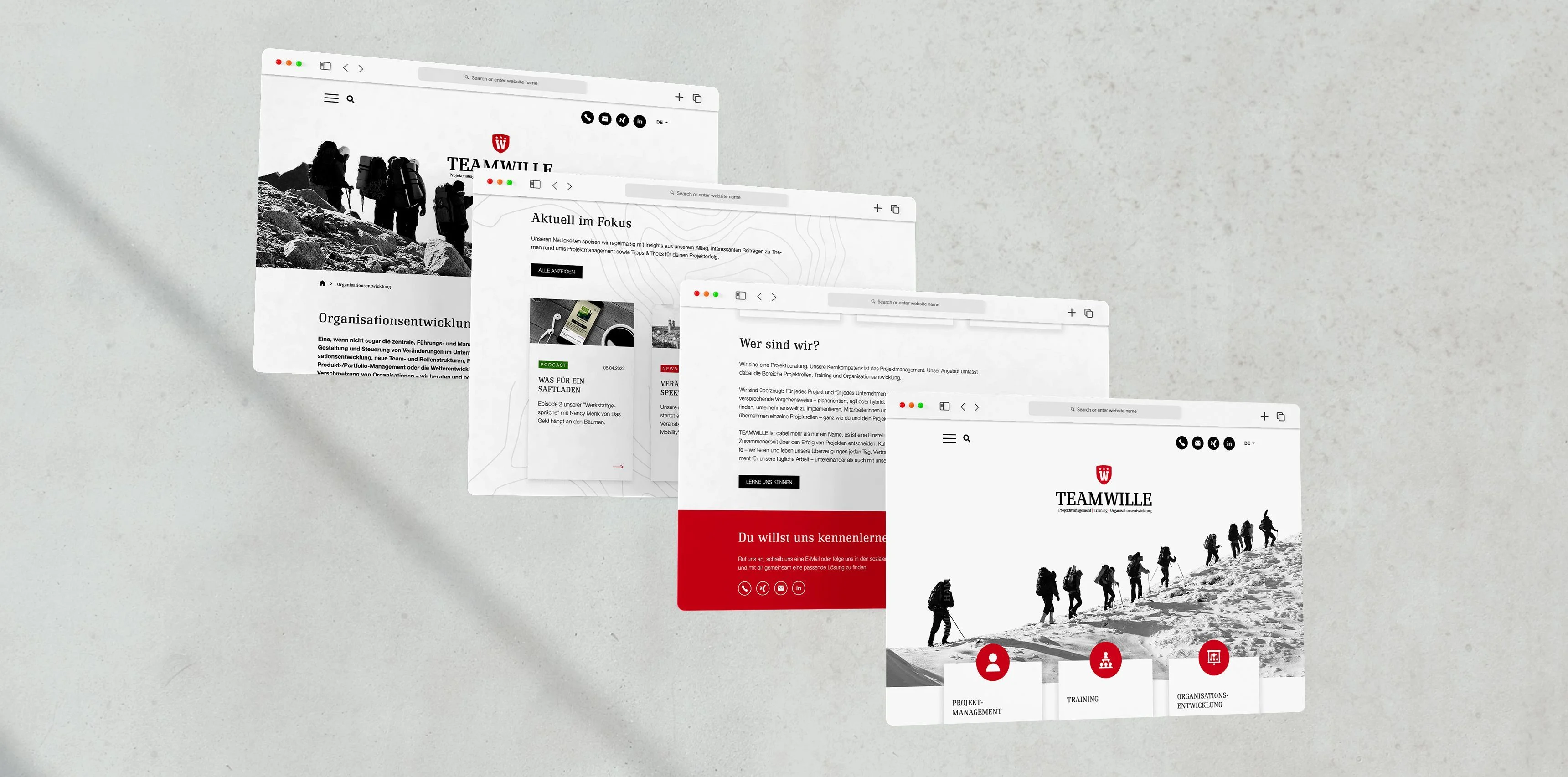 Teamwille Website mehrere Ausschnitte