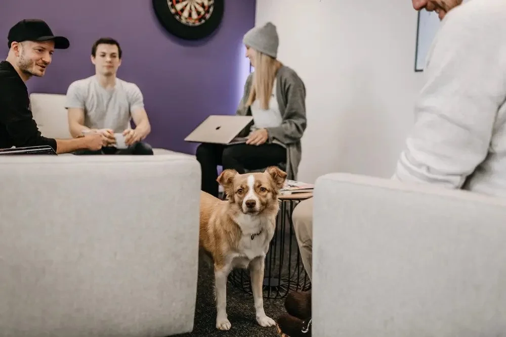 Hund schaut aus der Sitzecke in der vier Personen sitzen